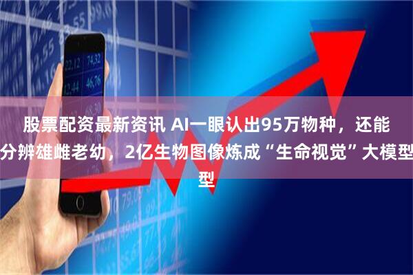 股票配资最新资讯 AI一眼认出95万物种，还能分辨雄雌老幼，2亿生物图像炼成“生命视觉”大模型