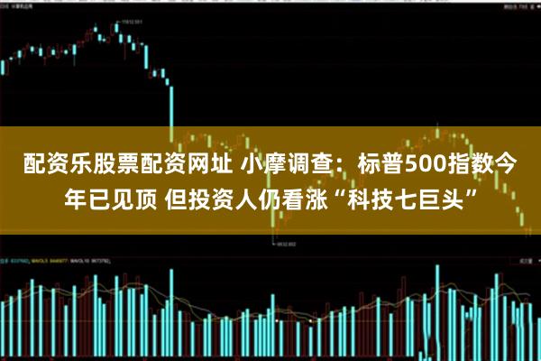 配资乐股票配资网址 小摩调查：标普500指数今年已见顶 但投资人仍看涨“科技七巨头”