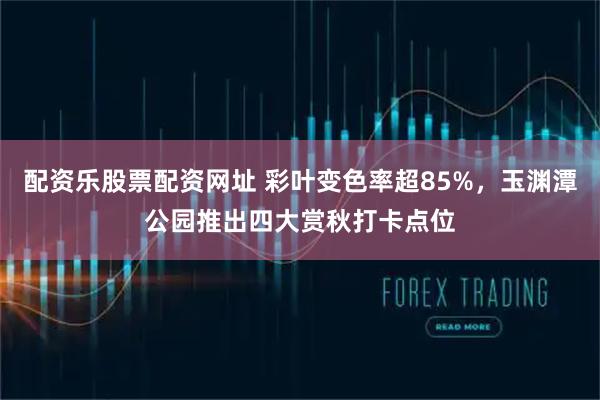 配资乐股票配资网址 彩叶变色率超85%，玉渊潭公园推出四大赏秋打卡点位